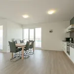 Noviny * Trenčín