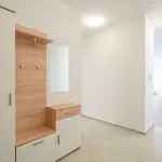 Noviny